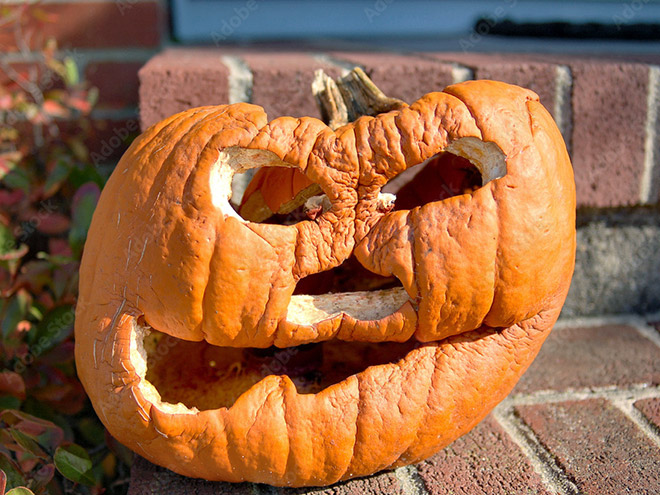 Abandoned Halloween pumpkin.