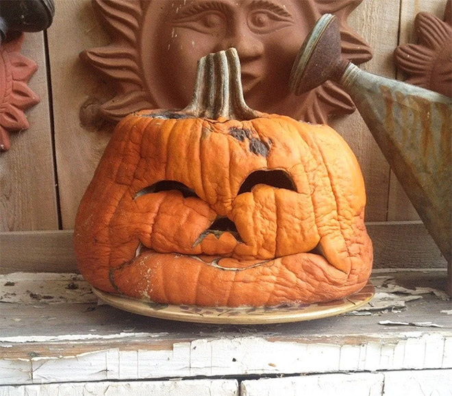 Abandoned Halloween pumpkin.