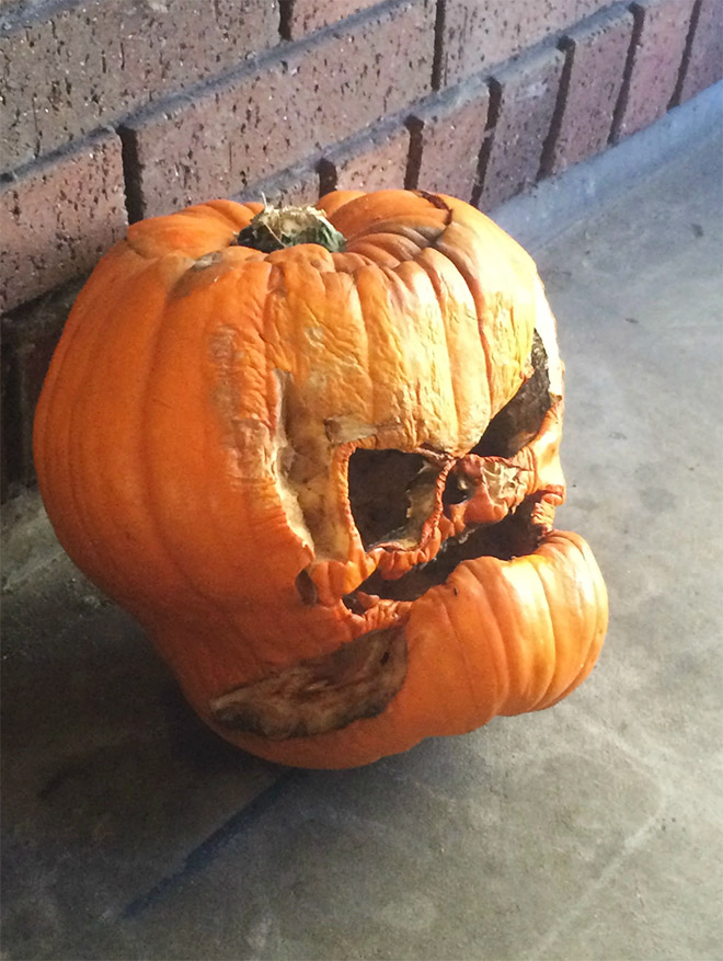 Abandoned Halloween pumpkin.