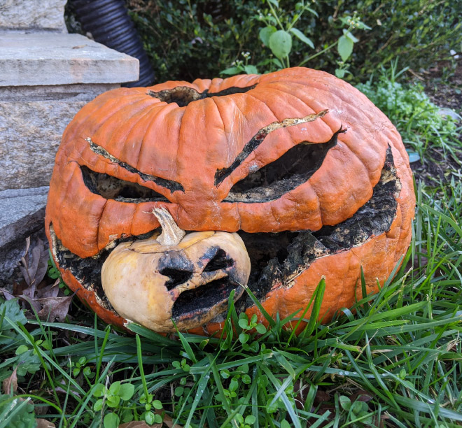 Abandoned Halloween pumpkin.