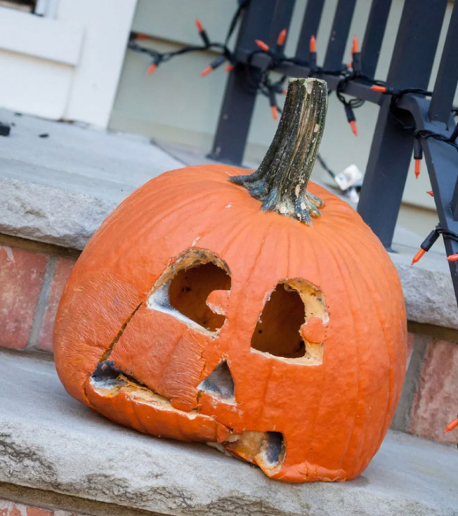 Abandoned Halloween pumpkin.
