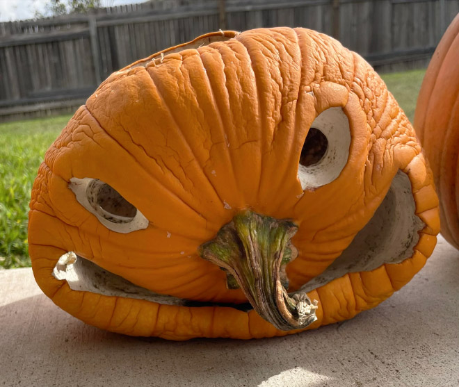 Abandoned Halloween pumpkin.