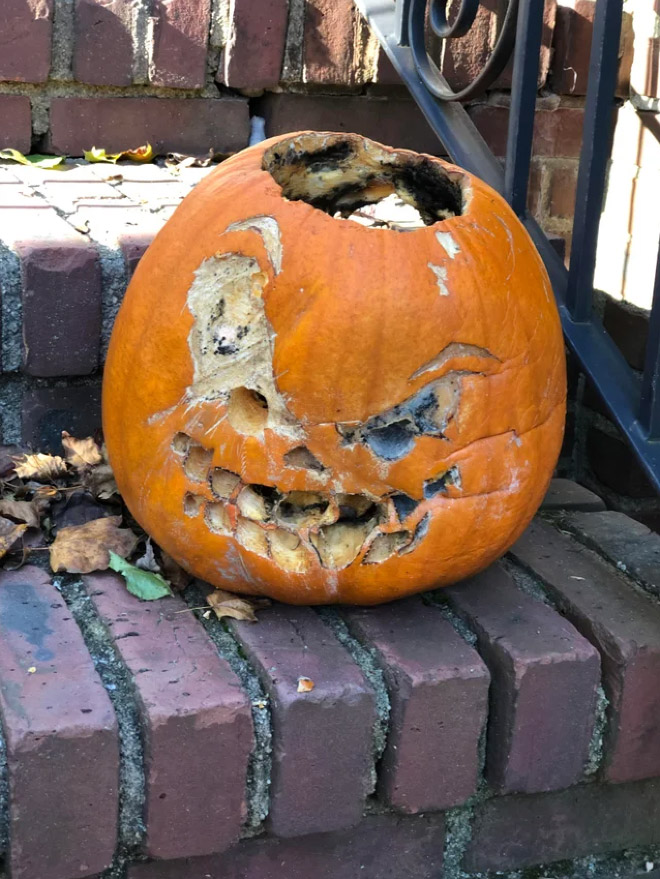 Abandoned Halloween pumpkin.