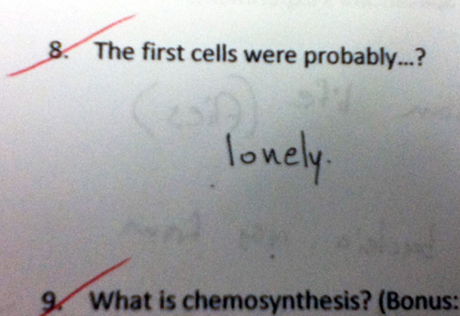 Funny failed test answer.