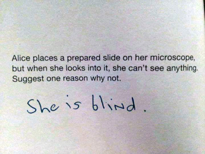 Funny failed test answer.