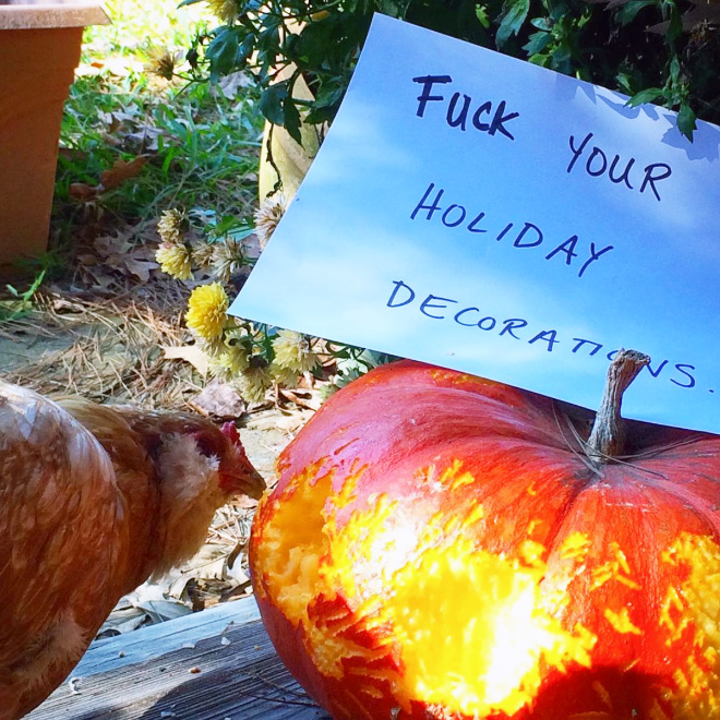 Shaming chickens is fun.