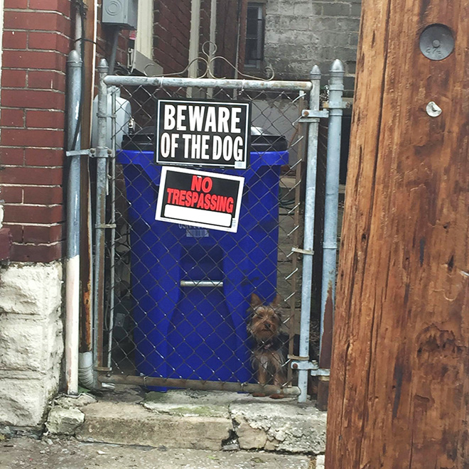 Beware of this dangerous guard dog!