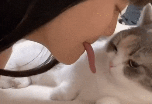 Fake tongue for licking your cat.
