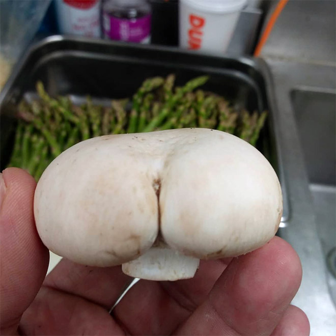 Mushroom butt!