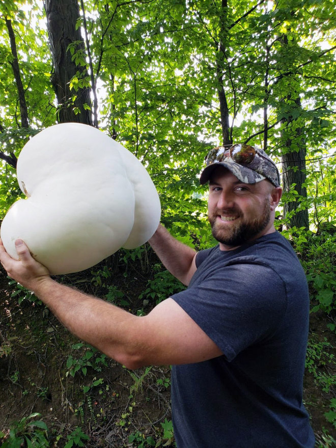 The World's Greatest Gallery of Tree Butts