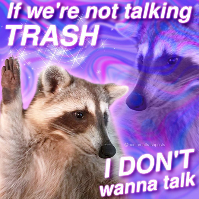 Raccoon memes are the best memes.