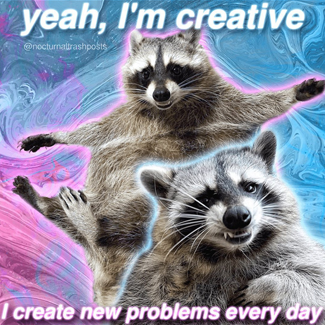 Raccoon memes are the best memes.