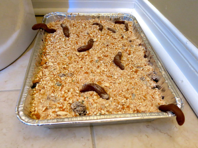 Kitty litter cake.