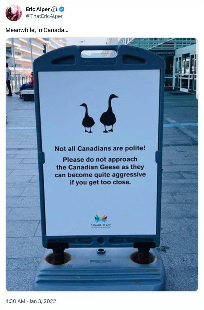 Canadian memes are the best memes.