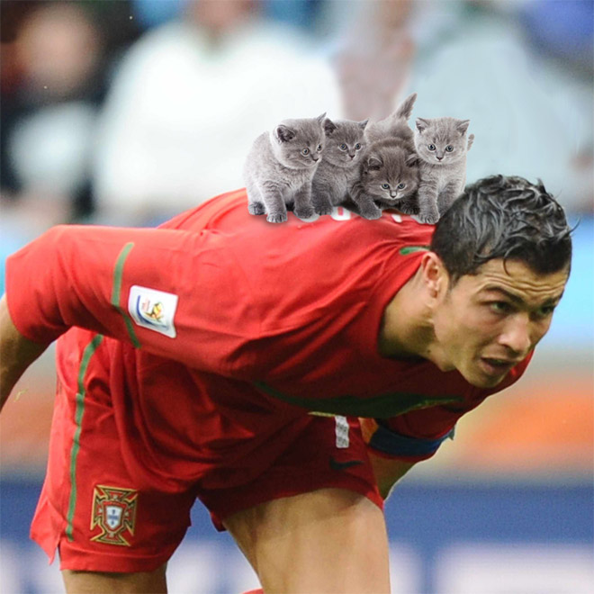Replacing balls with cats is a great use of Photoshop.