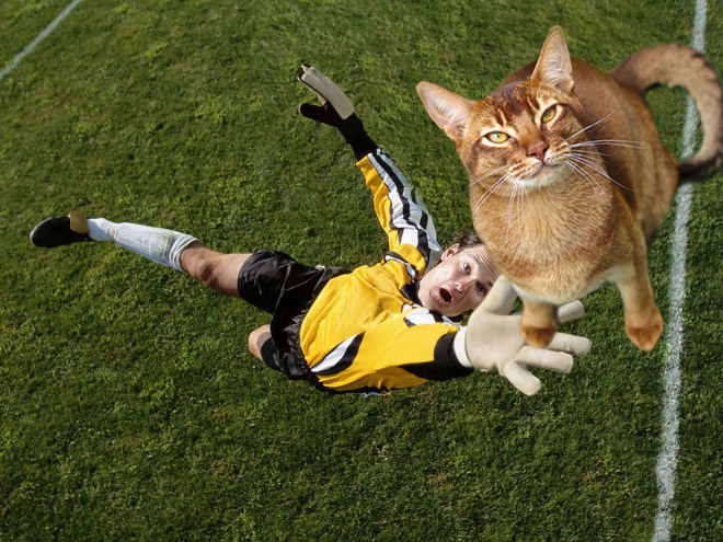 Replacing balls with cats is a great use of Photoshop.