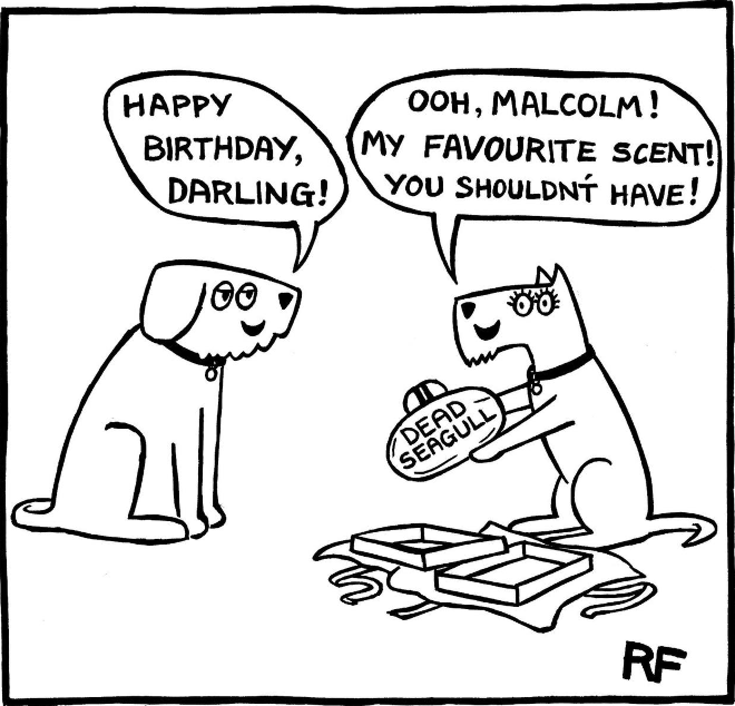 The secret life of dogs.