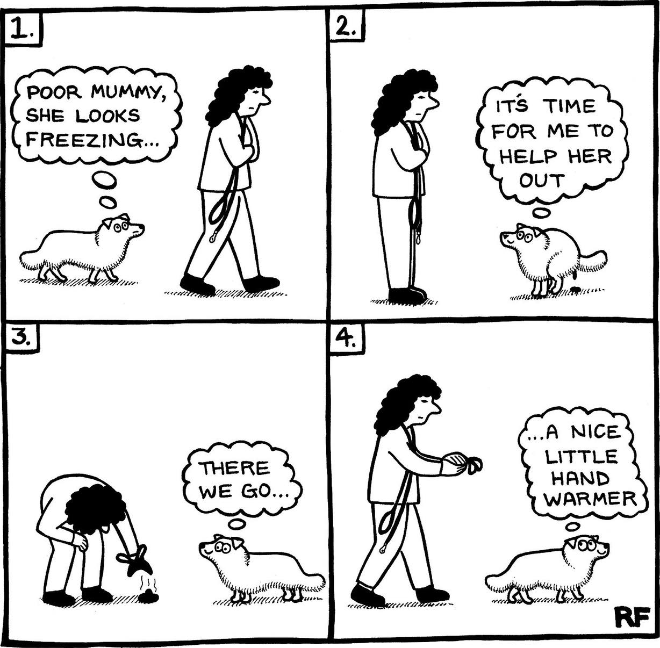 The secret life of dogs.