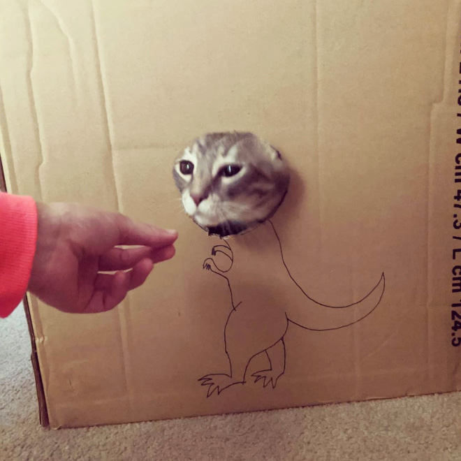 How to turn your ordinary cat into a dinosaur...