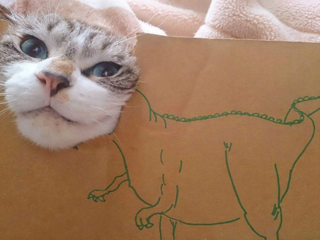 How to turn your ordinary cat into a dinosaur...