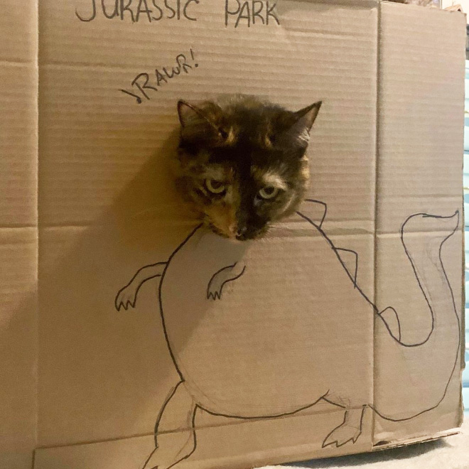 How to turn your ordinary cat into a dinosaur...