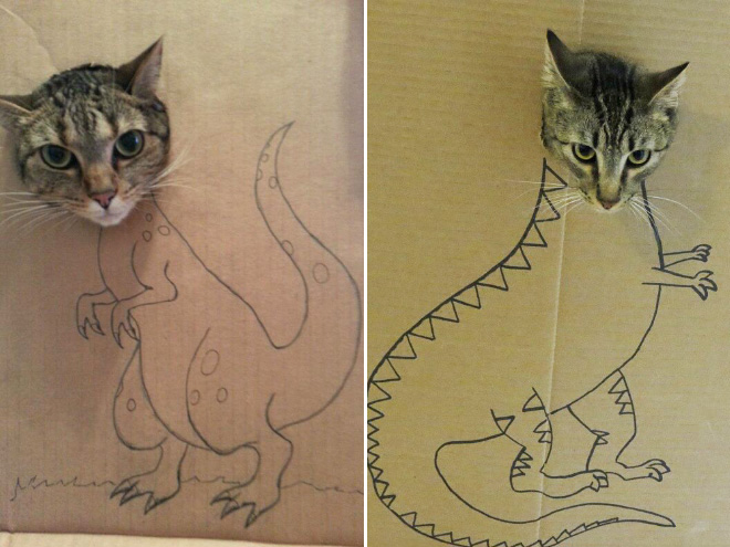 Cat dinos.