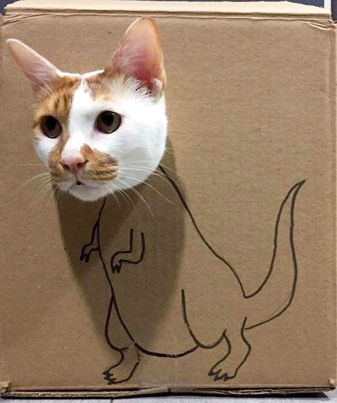 How to turn your ordinary cat into a dinosaur...