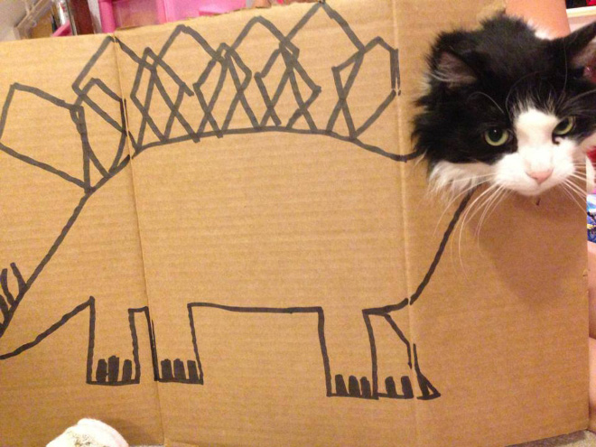 How to turn your ordinary cat into a dinosaur...