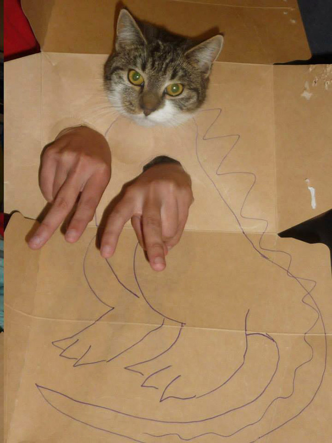 How to turn your ordinary cat into a dinosaur...