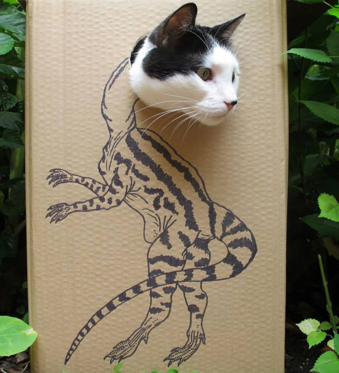 How to turn your ordinary cat into a dinosaur...