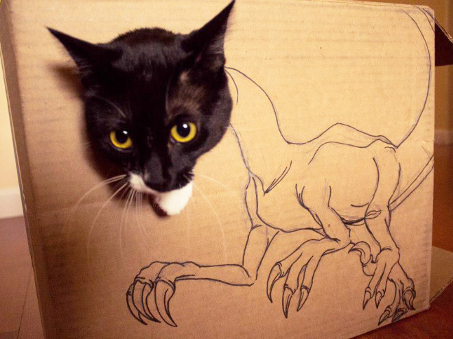 How to turn your ordinary cat into a dinosaur...