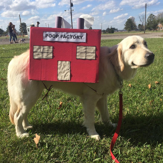 Poop factory dog costume.