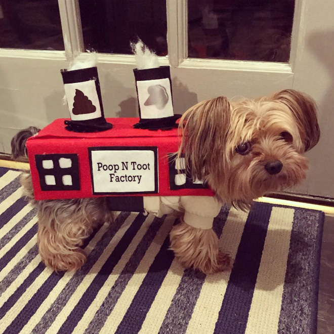 Poop factory dog costume.