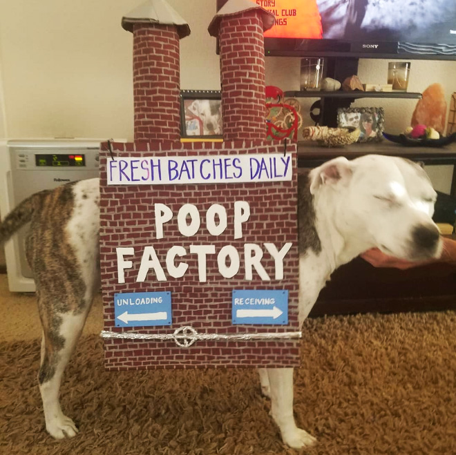 Poop factory dog costume.