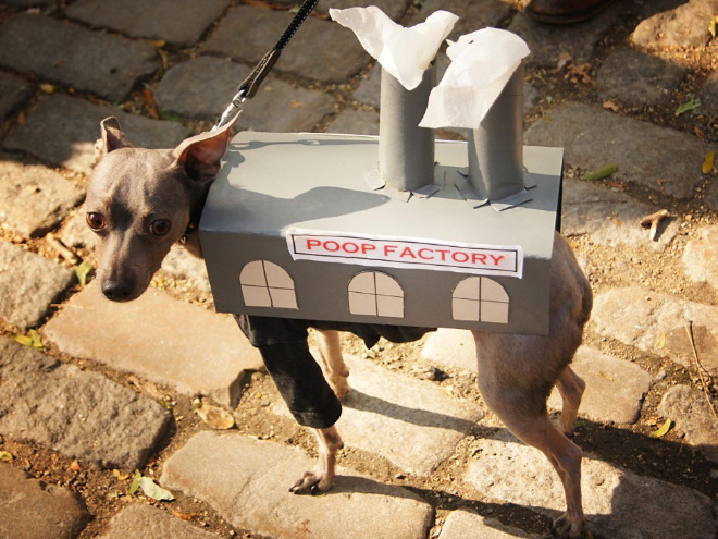 Poop factory dog costume.