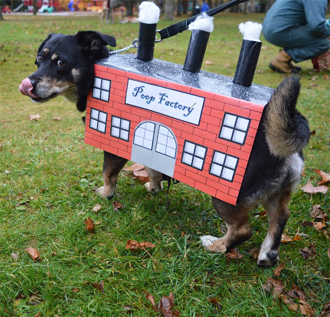 Poop factory dog costume.