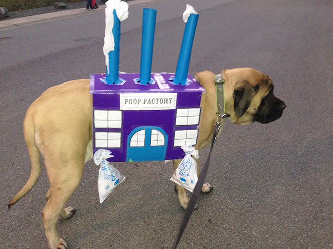 Poop factory dog costume.