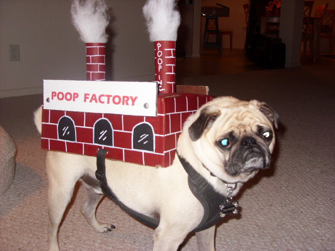 Poop factory dog costume.