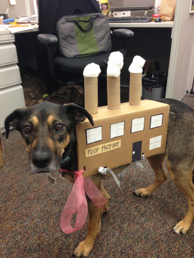 Poop factory dog costume.