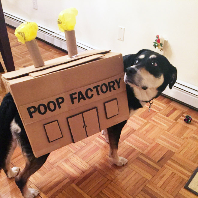 Poop factory dog costume.