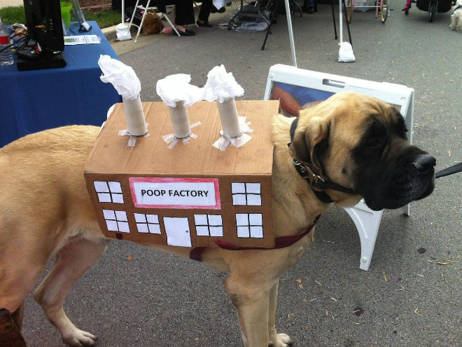 Poop factory dog costume.