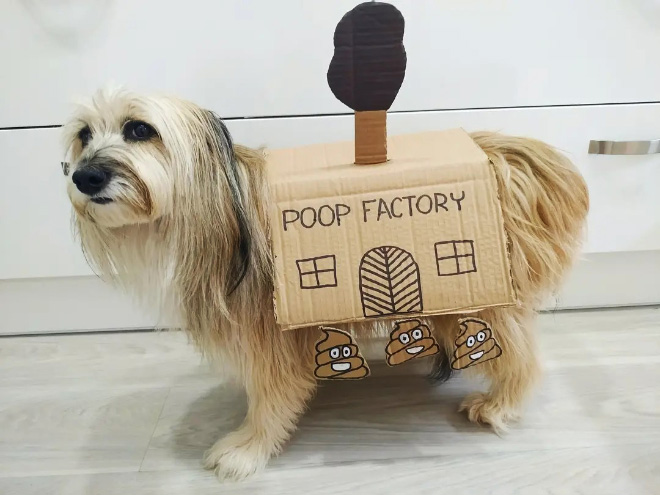 Poop factory dog costume.