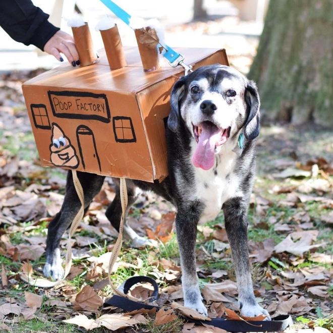 Poop factory dog costume.