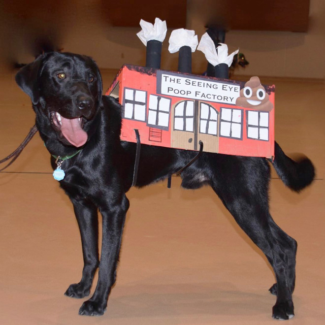 Poop factory dog costume.