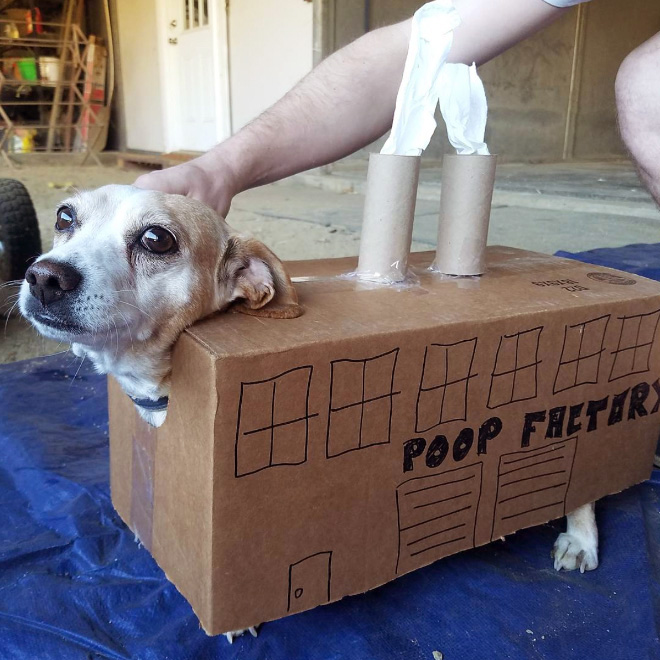 Poop factory dog costume.