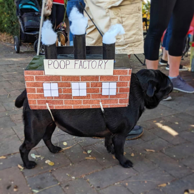 Poop factory dog costume.