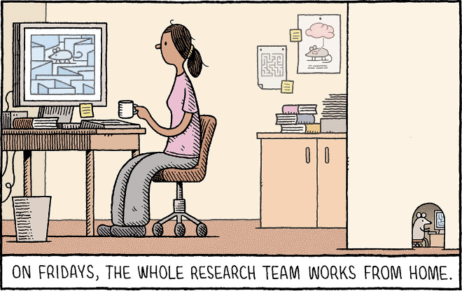 Funny cartoon by Tom Gauld.