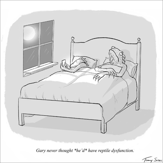 Single-panel comic by Tommy Siegel.