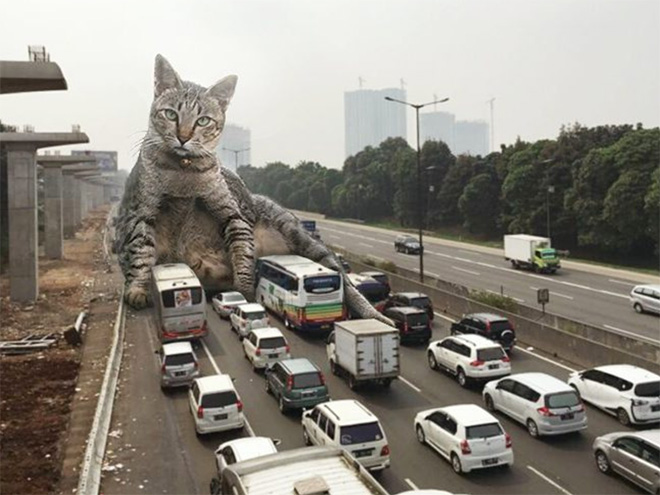 Cat Godzilla (catzilla).