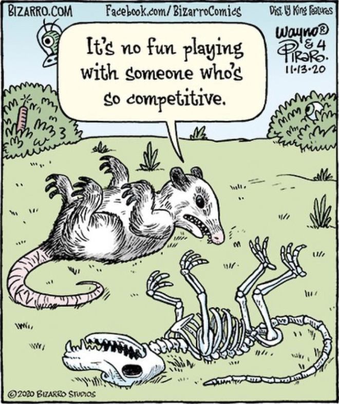 Funny cartoon by Bizarro.